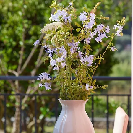 Cozy Flat Near Kato Samiko Appartement *