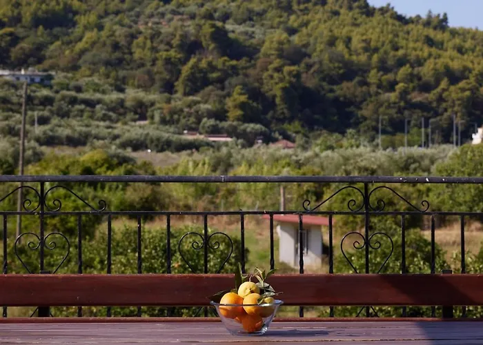 Modern Retreat Near Ancient Olympia And Sandy Kato Samikon