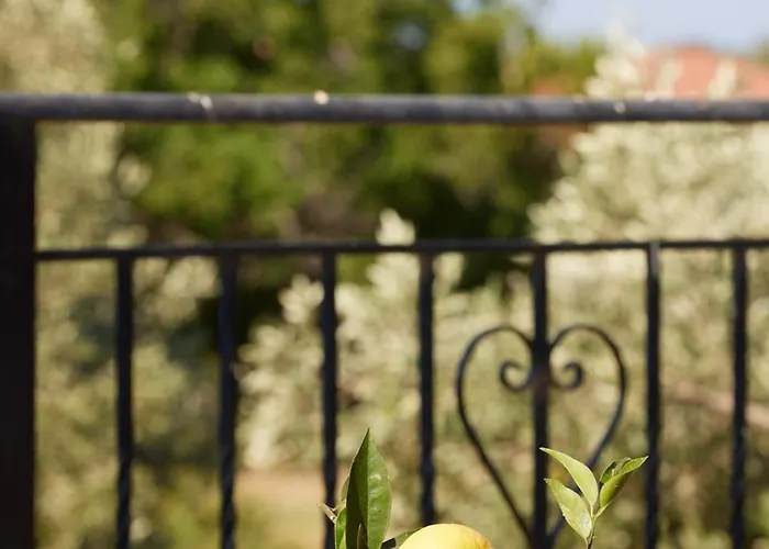 Modern Retreat Near Ancient Olympia And Sandy