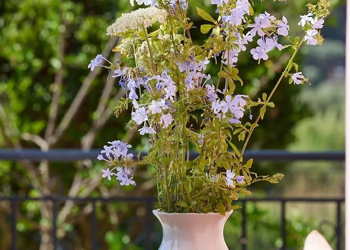 Modern Retreat Near Ancient Olympia And Sandy Apartman *