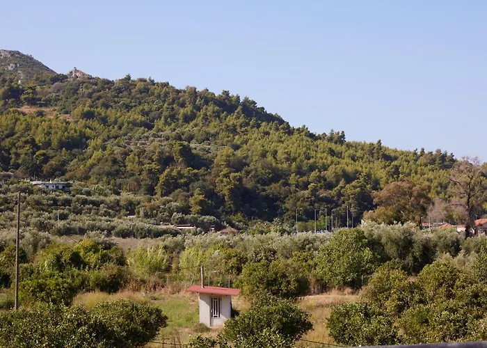 Modern Retreat Near Ancient Olympia And Sandy Daire